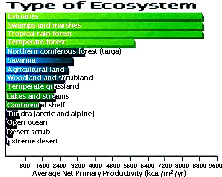 Image npp-eco-pua