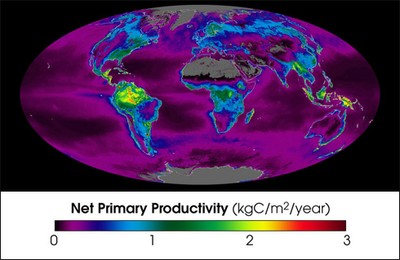 Image nasa-npp