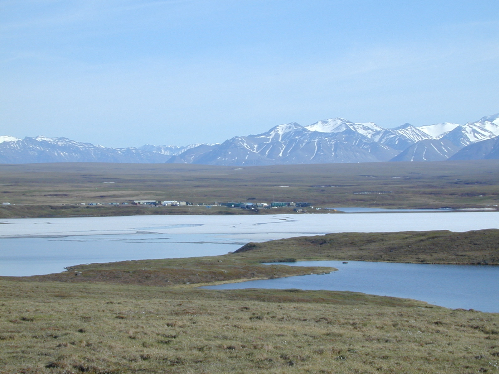 Image arctic_tundra-arc_lter