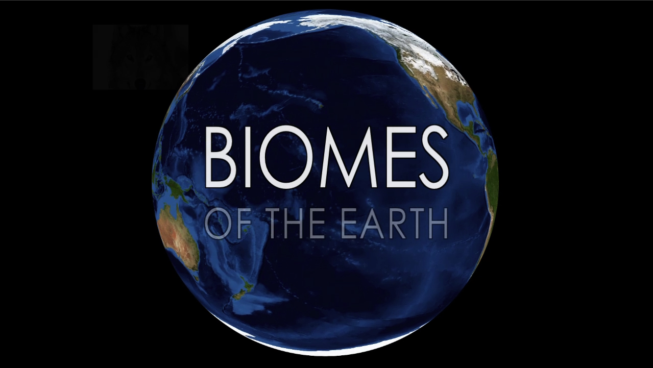 Image biomes