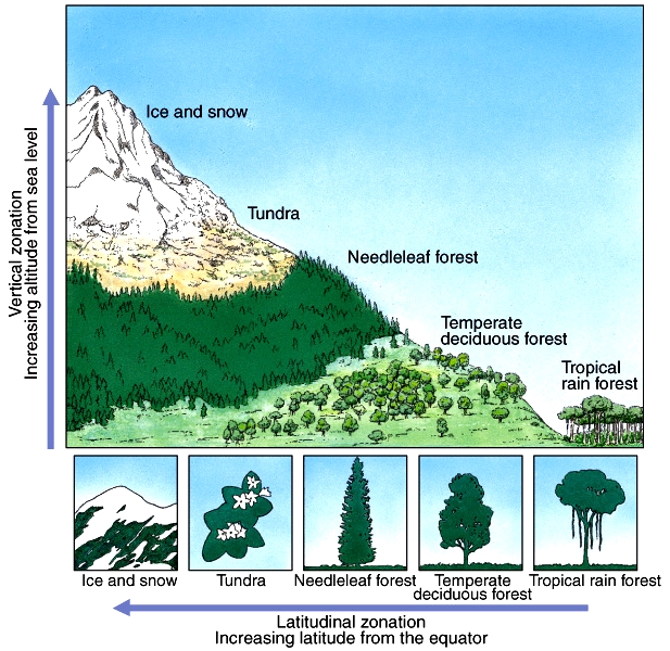 Image geographical_zonation
