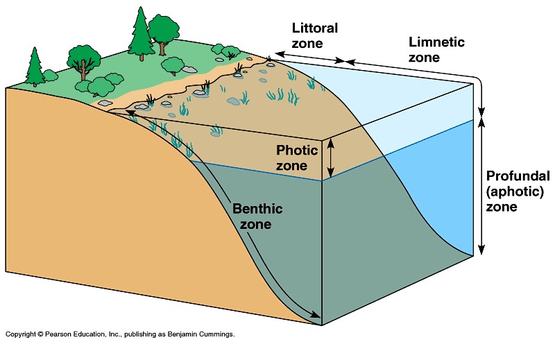 Image lake_zonation