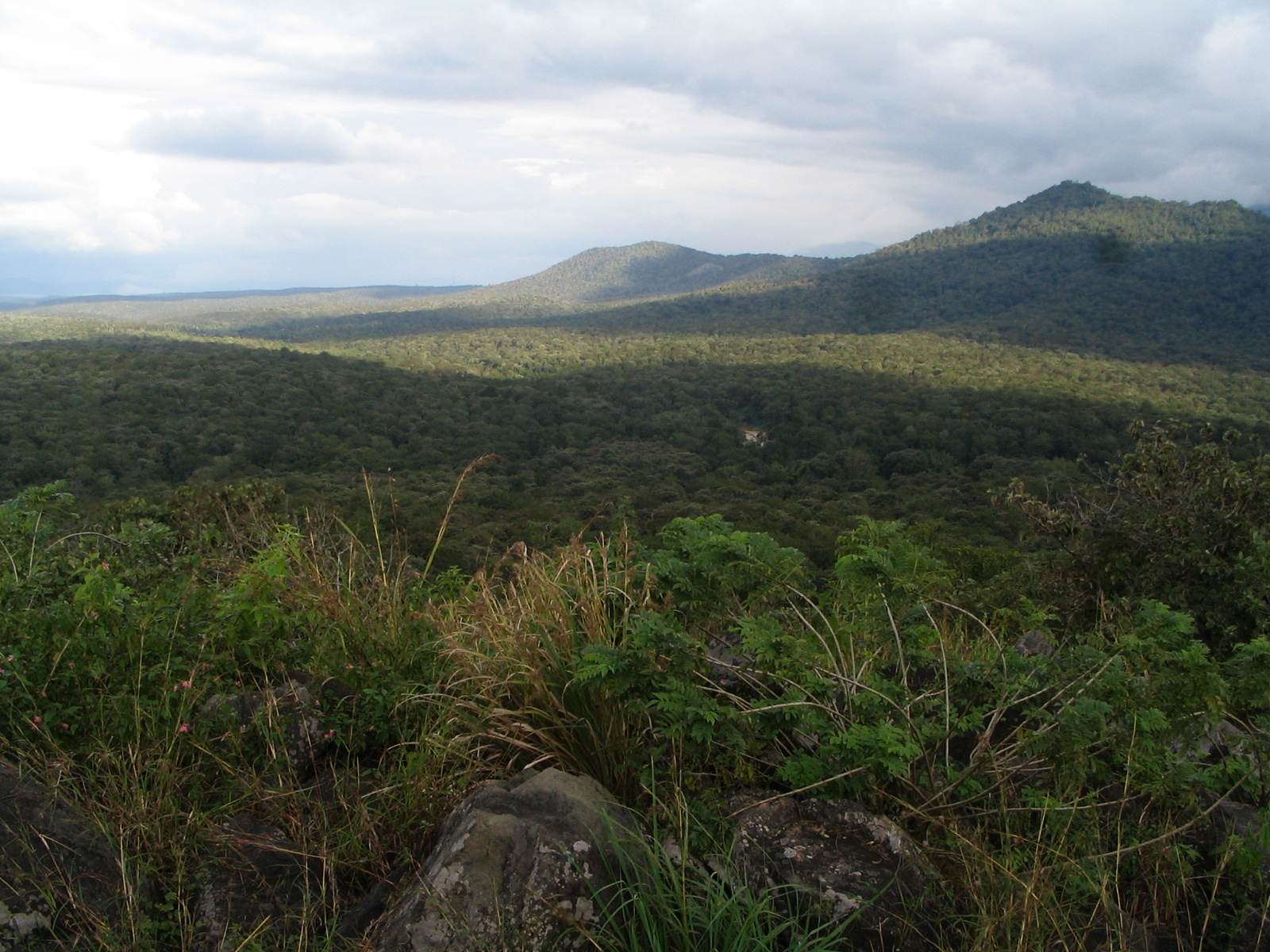 Image tropical_dry_forest3