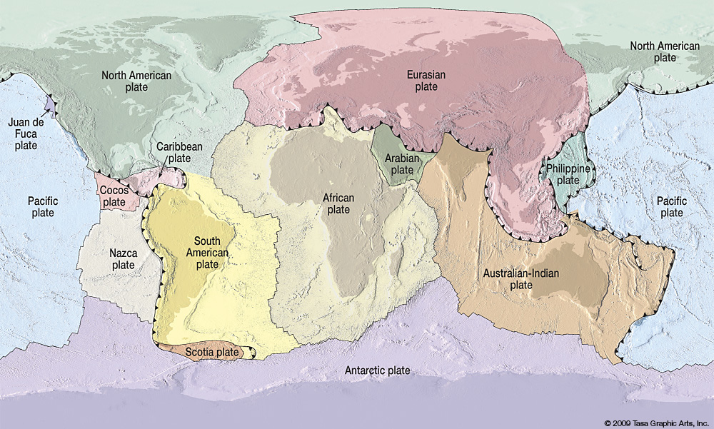 Image plate_map