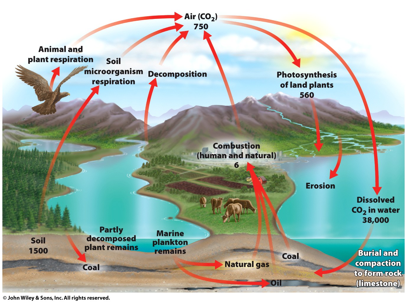 Image rav7_fig_05_02