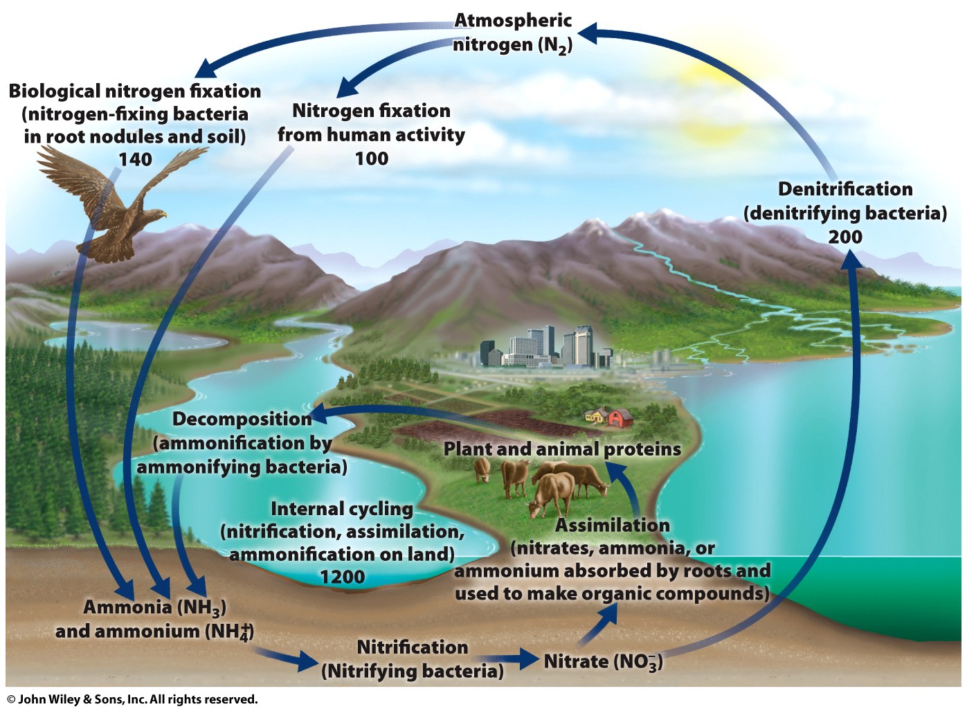 Image rav7_fig_05_03
