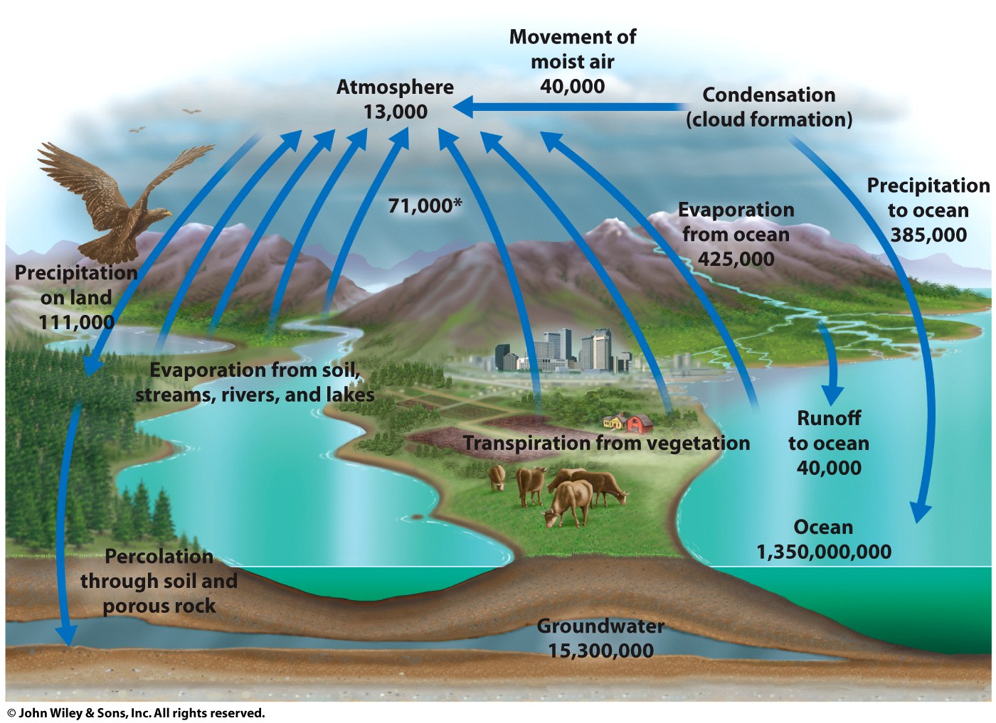 Image rav7_fig_05_06